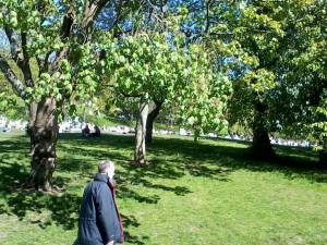 966901_535899883135484_687133582_o