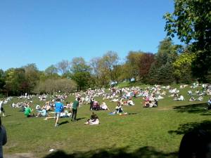 981349_535900056468800_730058779_o