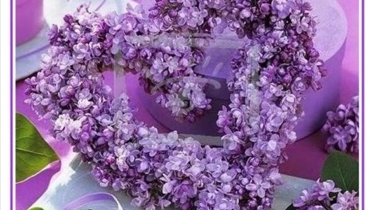 anyák napi orgonacsokor