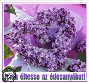 anyák napi orgonacsokor