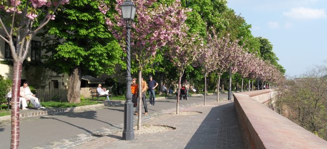 sétány a budai Várban