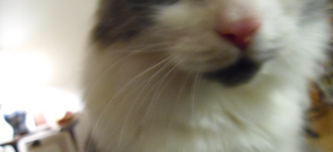 na mivan mivan mivan