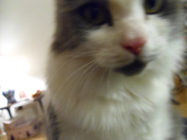 na mivan mivan mivan