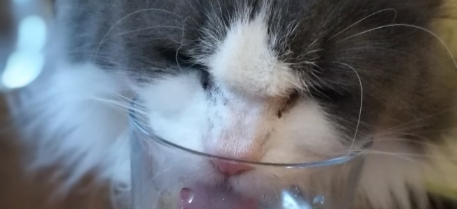 Florence pohárból iszik